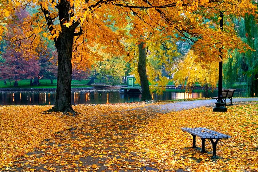 The Best Things to Do in Boston in the Fall