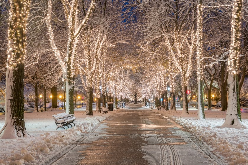 Winter Wonderland: Boston's Best Activities This December