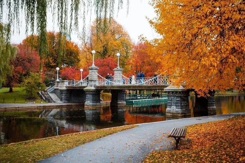 A stone bridge crosses a pond in a park with colorful autumn trees, fallen leaves on the ground, and people walking on the bridge.